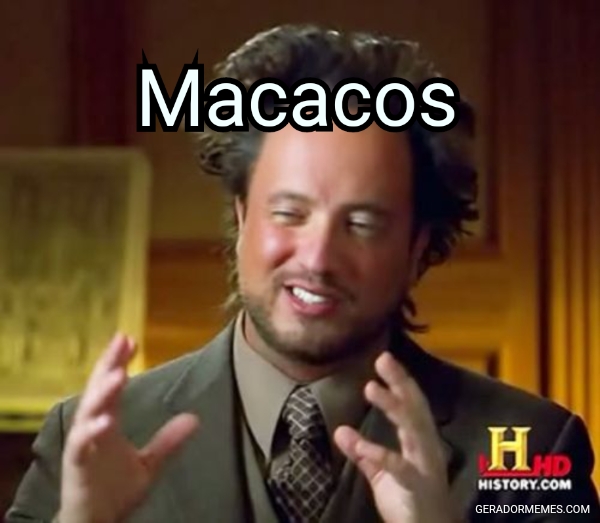 Macacos…